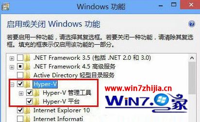 win10ϵͳ޷з籩ѽ